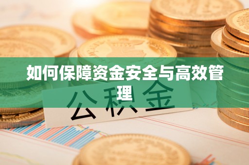 奎文如何保障资金安全与高效管理