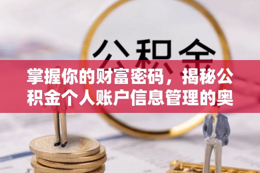 奎文掌握你的财富密码，揭秘公积金个人账户信息管理的奥秘