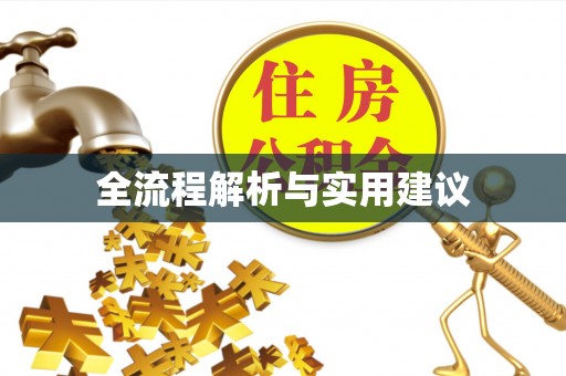 奎文全流程解析与实用建议