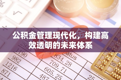 奎文公积金管理现代化，构建高效透明的未来体系