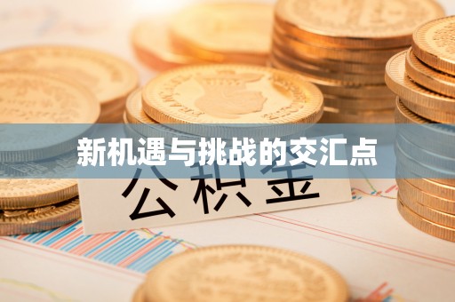 奎文新机遇与挑战的交汇点
