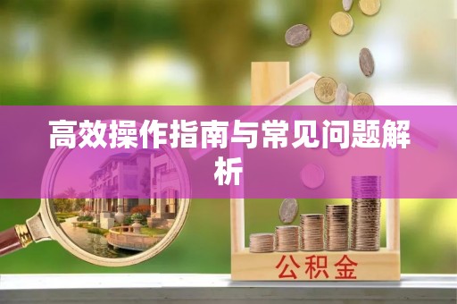 奎文高效操作指南与常见问题解析