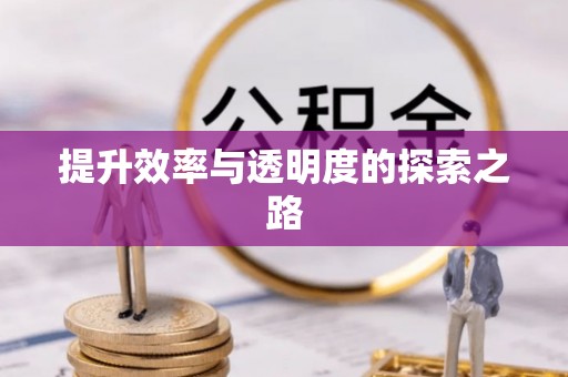 奎文提升效率与透明度的探索之路