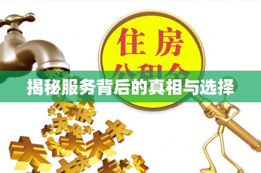 奎文揭秘服务背后的真相与选择