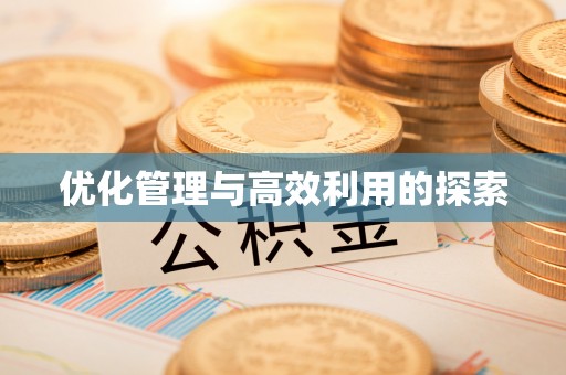 奎文优化管理与高效利用的探索