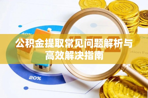 奎文公积金提取常见问题解析与高效解决指南