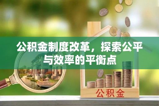 奎文公积金制度改革，探索公平与效率的平衡点