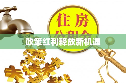 奎文政策红利释放新机遇