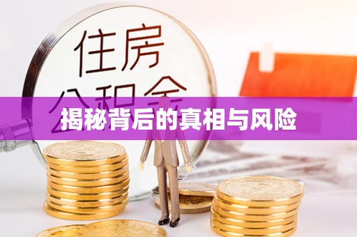 奎文揭秘背后的真相与风险