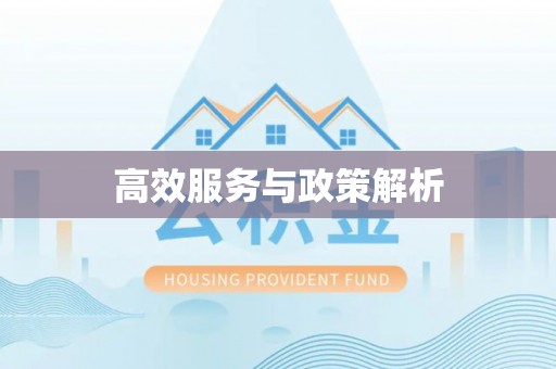 奎文高效服务与政策解析