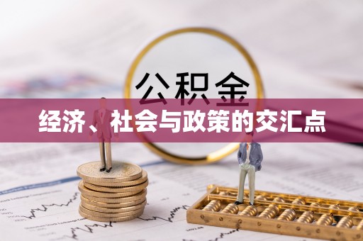 奎文经济、社会与政策的交汇点