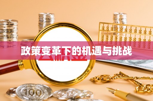 奎文政策变革下的机遇与挑战