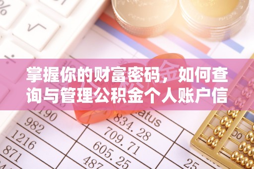 奎文掌握你的财富密码，如何查询与管理公积金个人账户信息