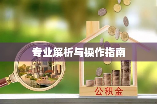奎文专业解析与操作指南