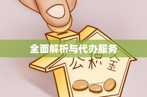 奎文全面解析与代办服务