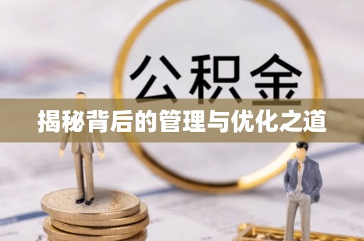 奎文揭秘背后的管理与优化之道