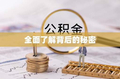 奎文全面了解背后的秘密