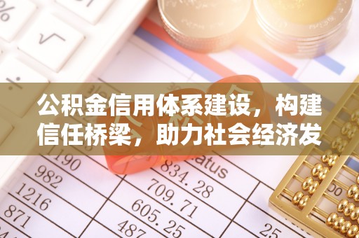 奎文公积金信用体系建设，构建信任桥梁，助力社会经济发展