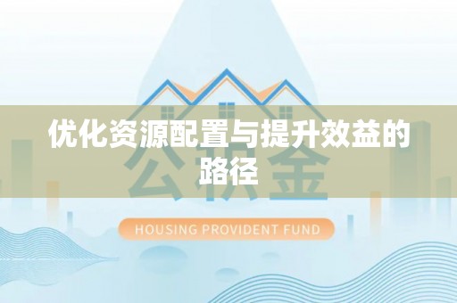 奎文优化资源配置与提升效益的路径
