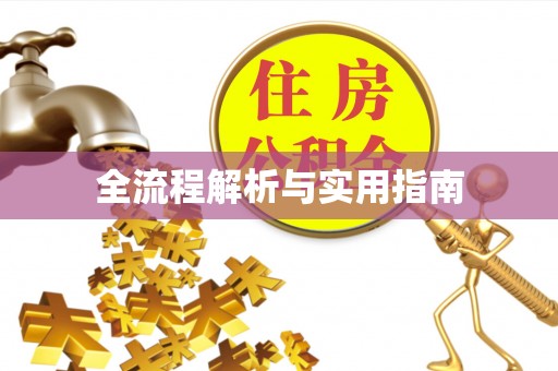 奎文全流程解析与实用指南