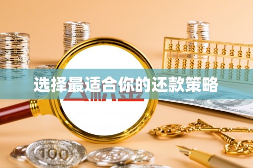奎文选择最适合你的还款策略