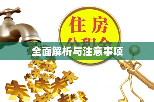奎文全面解析与注意事项