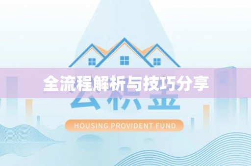 奎文全流程解析与技巧分享