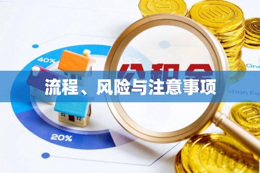 奎文流程、风险与注意事项