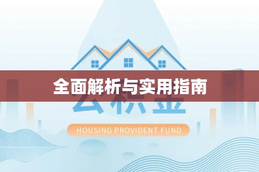 奎文全面解析与实用指南