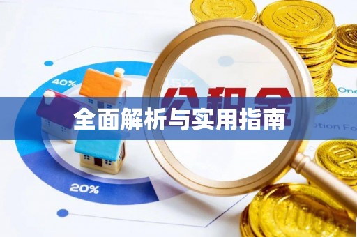 奎文全面解析与实用指南